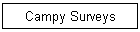 Campy Only Surveys