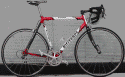 bicicorsa.gif (87832 bytes)