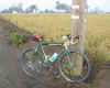 bike_farm_800.jpg (330439 bytes)